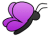 sg_butterfly2.gif